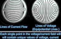 Lines of Current and Field of Voltage